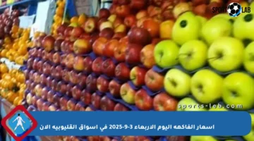 أسعار الفاكهة اليوم الأربعاء 3-9-2025 في أسواق القليوبية الآن